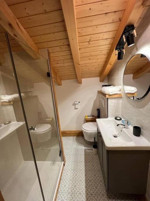 Appart Duplex Chalet Plein Sud Feissons-sur-Salins Extérieur photo